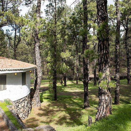 Vivienda Vacacional Finca La Redonda エル・パソ エクステリア 写真